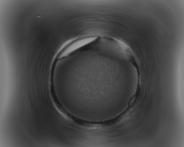 X0000086320438200704131657