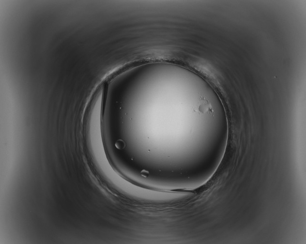 X0000086320439200704131657