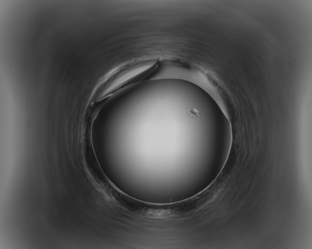 X0000086320440200704131657