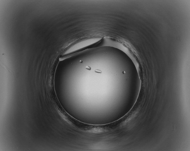 X0000086320441200704131657