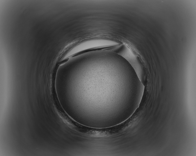 X0000086320442200704131657