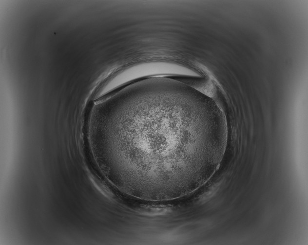 X0000086320443200704131657