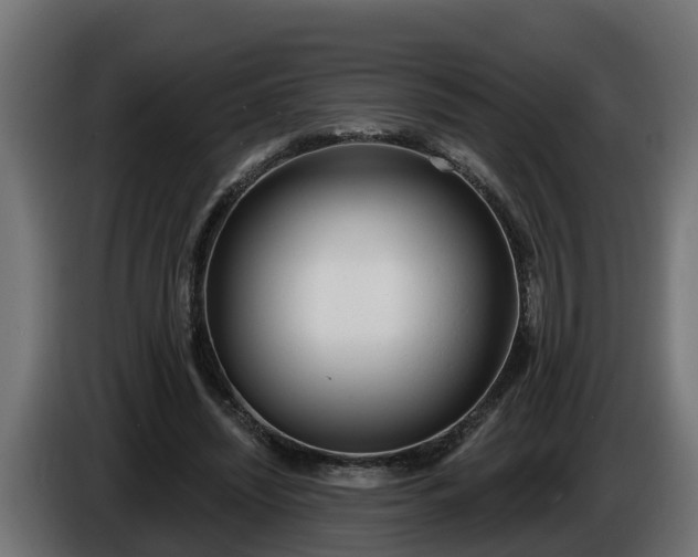 X0000086320444200704131657