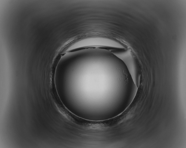 X0000086320446200704131657