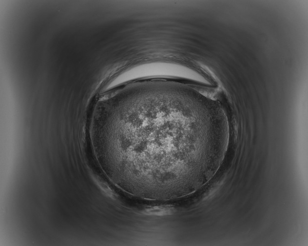 X0000086320447200704131657