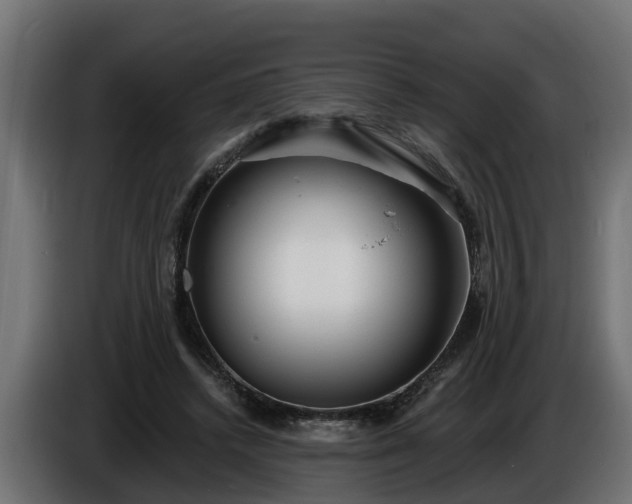 X0000086320448200704131657