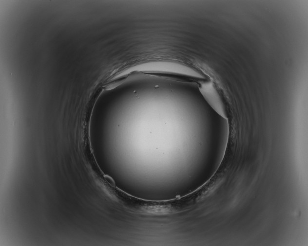 X0000086320449200704131657