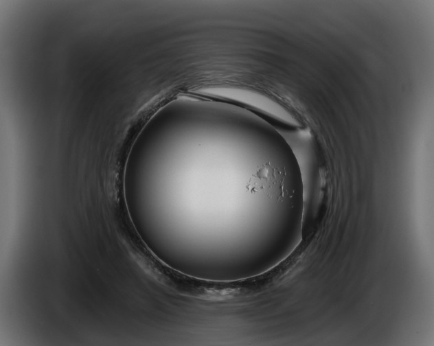 X0000086320450200704131657