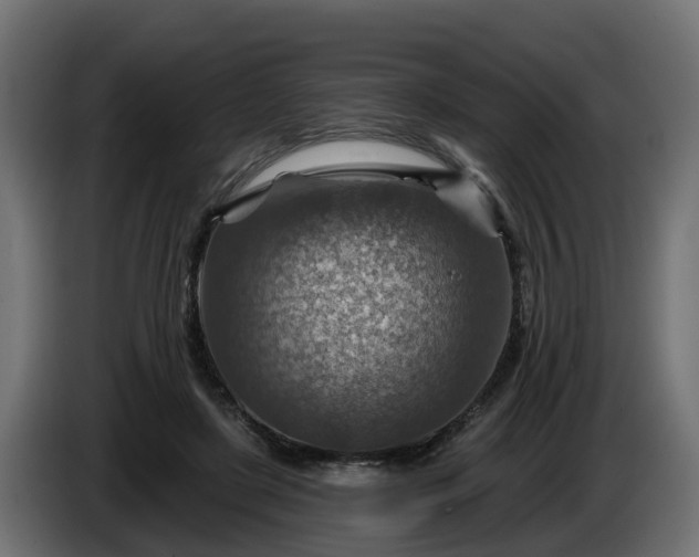 X0000086320451200704131657