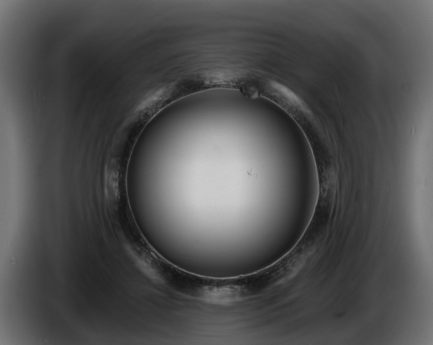 X0000086320452200704131657