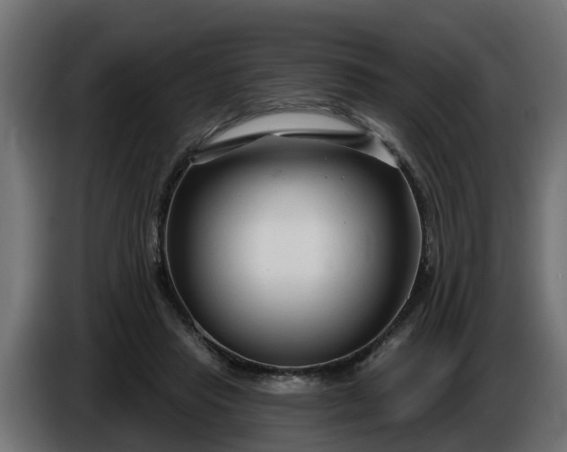 X0000086320453200704131657