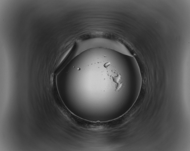 X0000086320454200704131657