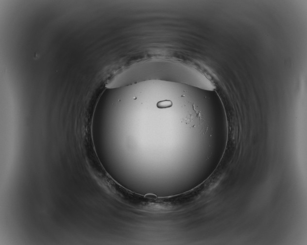 X0000086320455200704131657