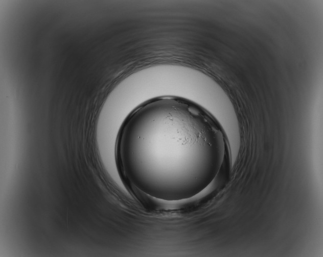 X0000086320456200704131657