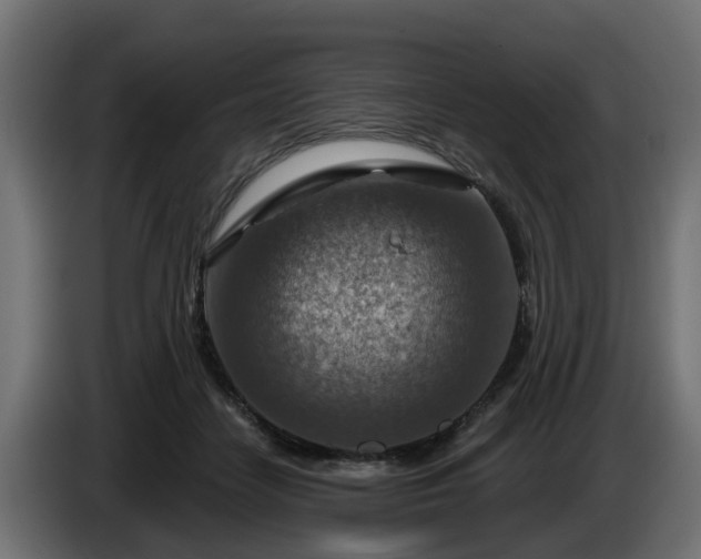 X0000086320458200704131657