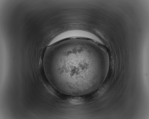 X0000086320459200704131657