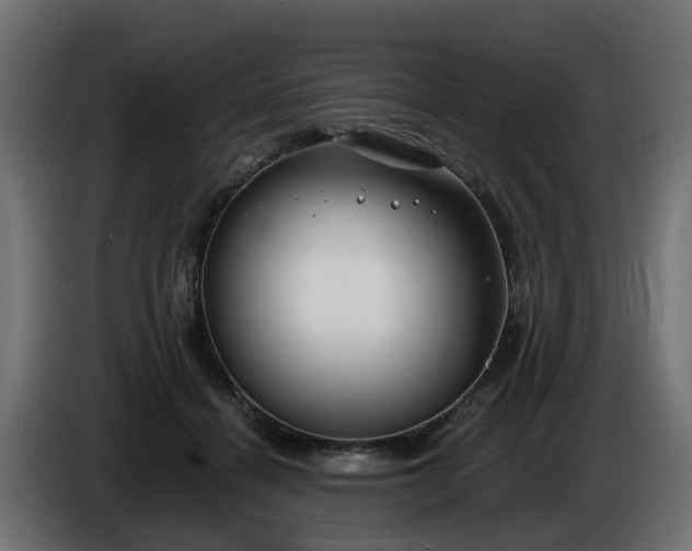 X0000086320460200704131657