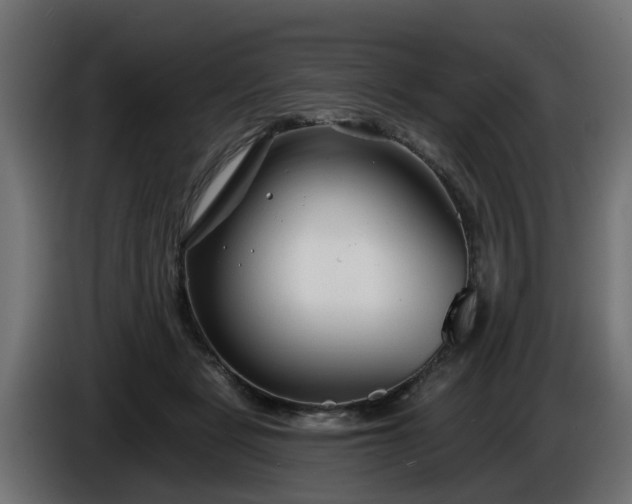 X0000086320461200704131657