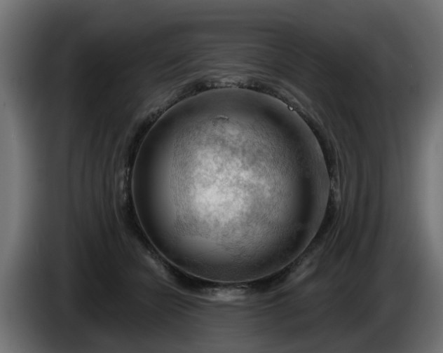 X0000086320462200704131657