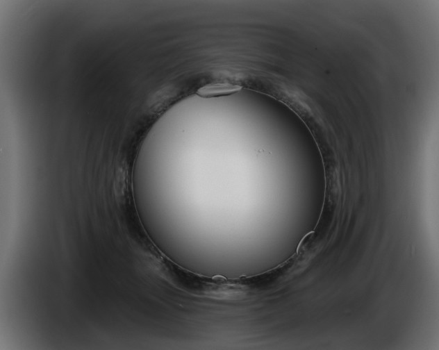 X0000086320463200704131657