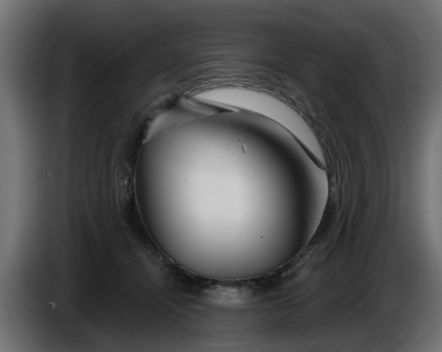 X0000086320464200704131657