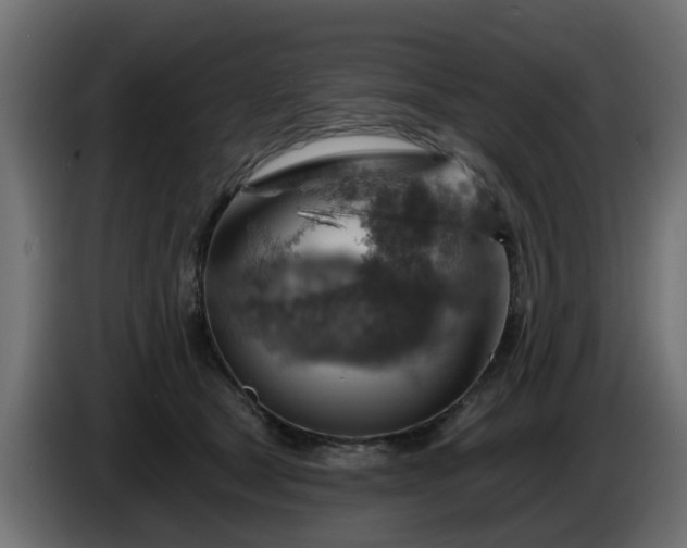 X0000086320465200704131657