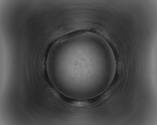 X0000086320466200704131657