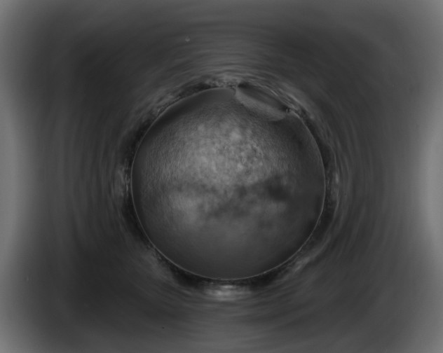 X0000086320467200704131657