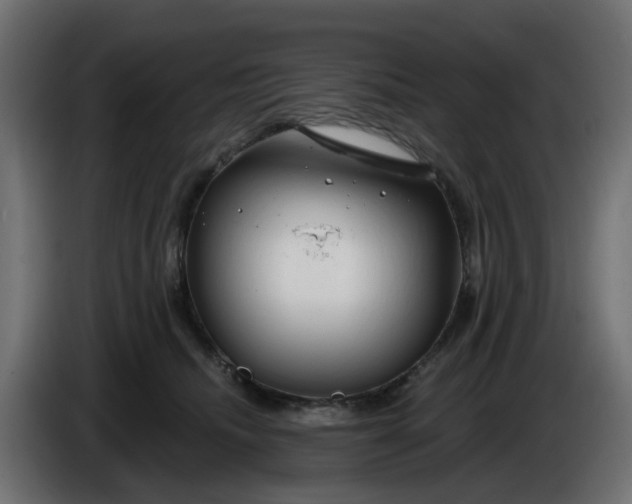 X0000086320468200704131657