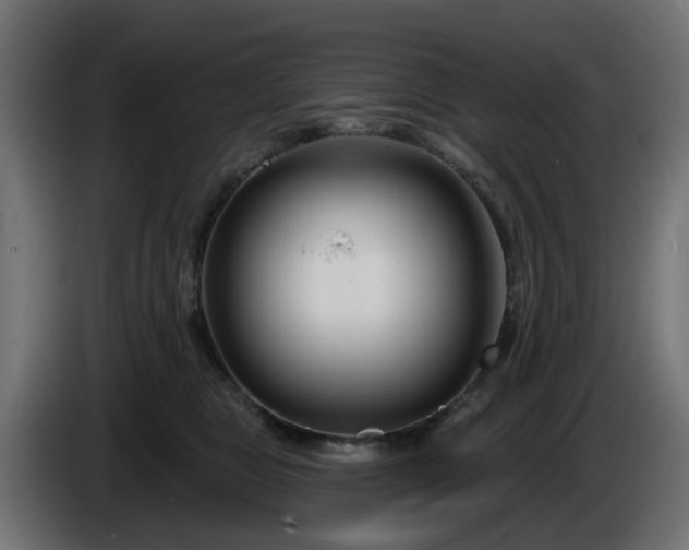 X0000086320469200704131657