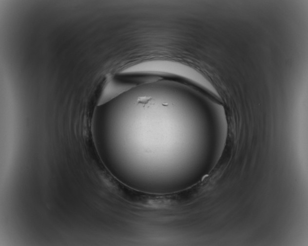 X0000086320470200704131657