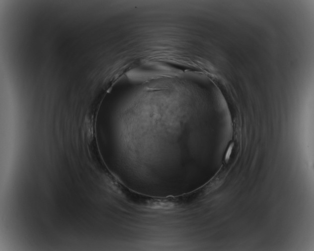 X0000086320471200704131657