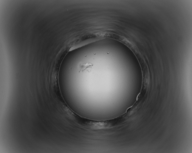 X0000086320473200704131657