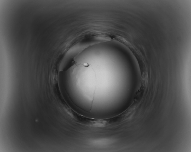 X0000086320474200704131657