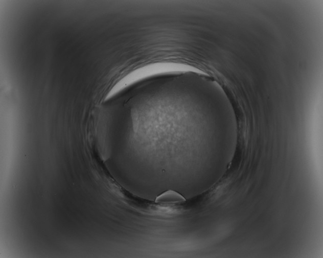 X0000086320475200704131657