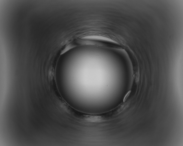 X0000086320476200704131657