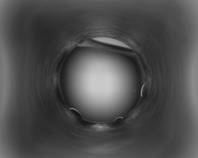 X0000086320477200704131657