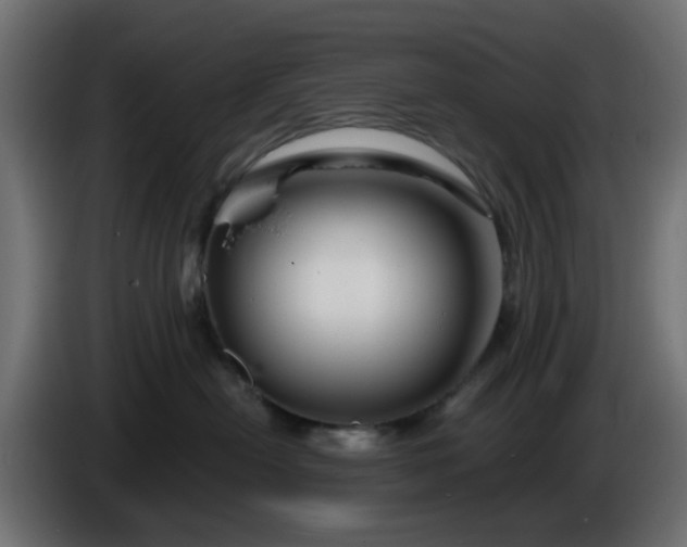 X0000086320478200704131657