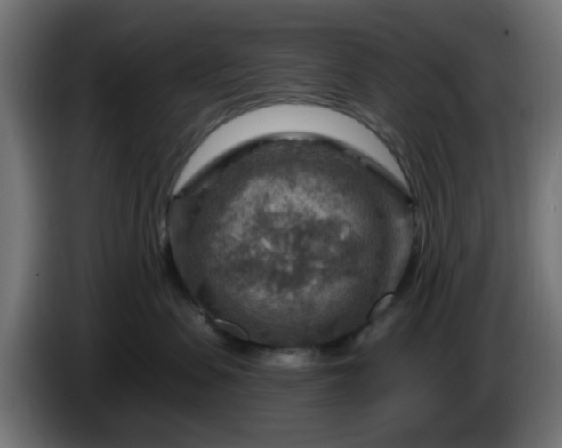 X0000086320479200704131657