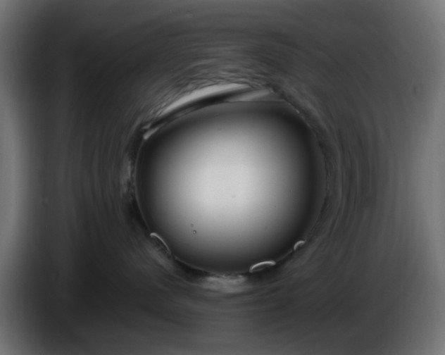 X0000086320480200704131657