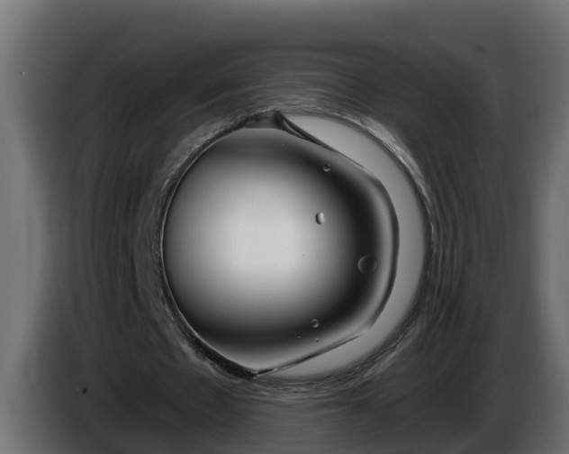 X0000086320481200704131657