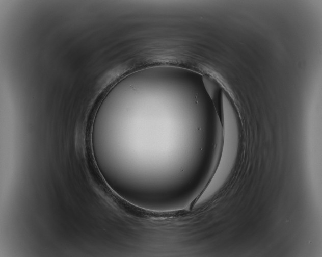 X0000086320482200704131657