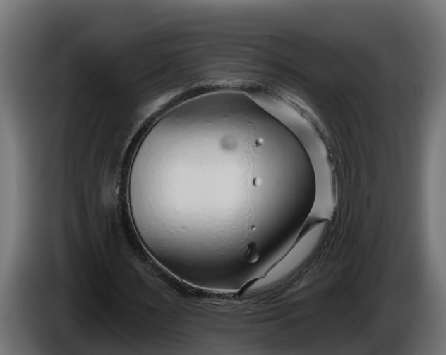 X0000086320483200704131657