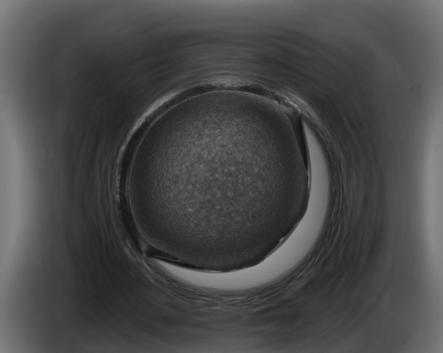 X0000086320484200704131657