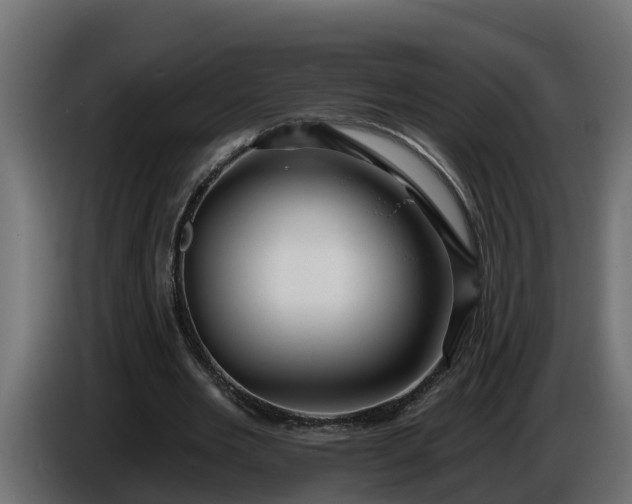 X0000086320485200704131656