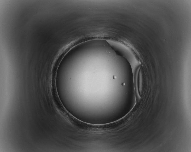 X0000086320486200704131656