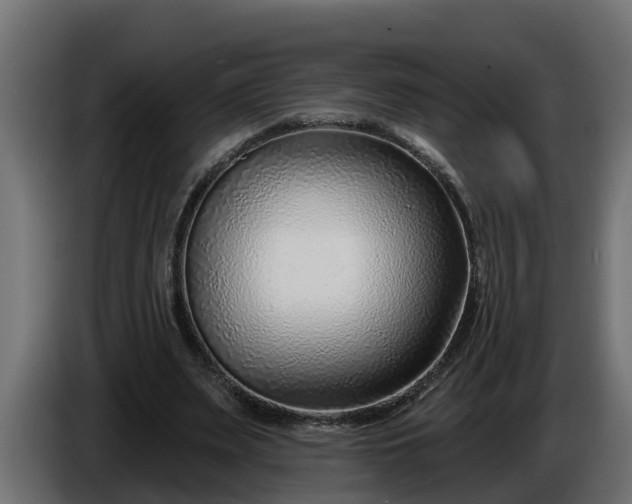 X0000086320487200704131656