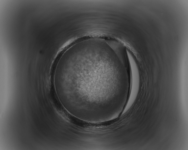 X0000086320488200704131656