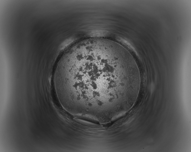 X0000086320491200704131656