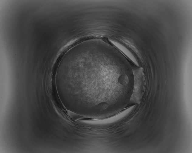 X0000086320492200704131656